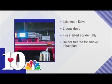 Two dogs dead after fire at Kingston home