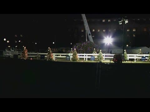 National Christmas Tree falls over days before lighting ceremony