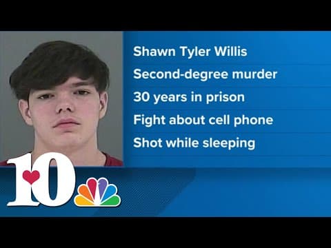 Anderson County man pleads guilty to killing his mom after she took away his phone