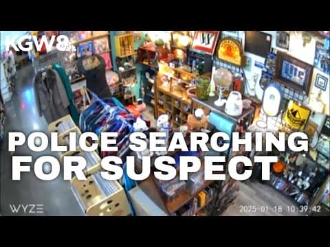 $2K in vinyl records stolen from Tigard's Greasy Car Vintage