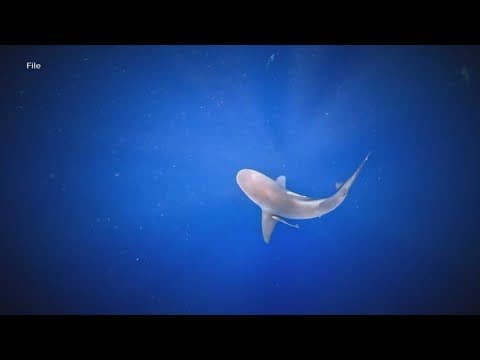 Two women back in the U.S. recovering after shark attack in Bahamas