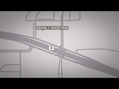 Driver found dead with gunshot wounds in stolen car after crashing into parked car, sheriff says