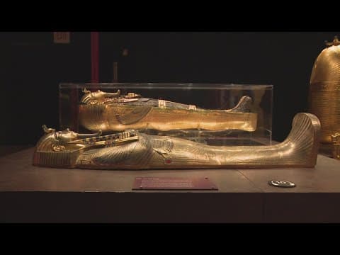 King Tut exhibit opens Thursday in DC |The Night Cap