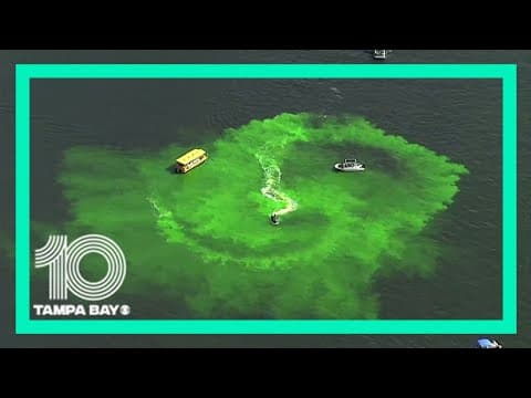 Watch the Hillsborough River turn green in celebration of Tampa's River O' Green Fest