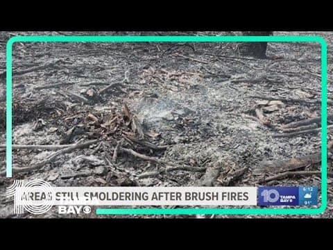 Investigators searching for person who set several fires near Caspersen Beach in Venice