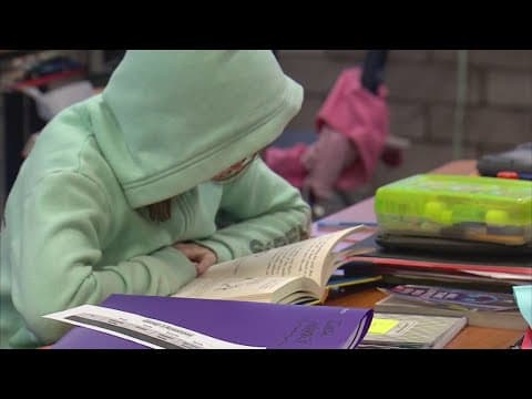 'It's definitely alarming' | Marion County ILEARN results raise concerns