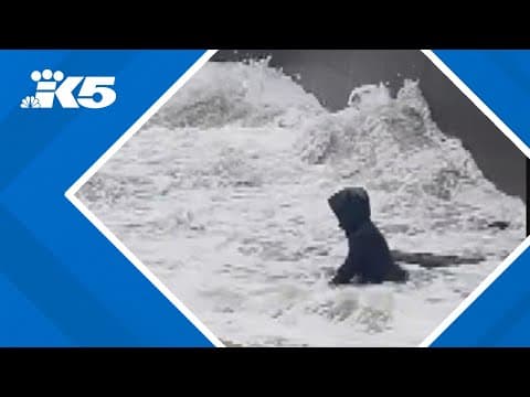 Scary video shows woman nearly pulled under by waves in Oregon