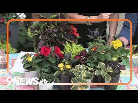 Here's how to use flower pot presentation to elevate spaces