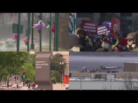 DMV therapists offering low to no cost therapy as federal worker layoffs, executive orders continue