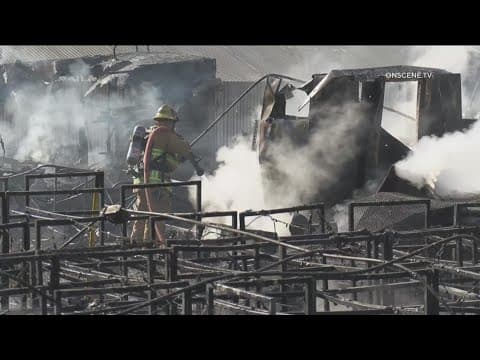 Thousands of crickets & worms killed in Lakeside farm fire