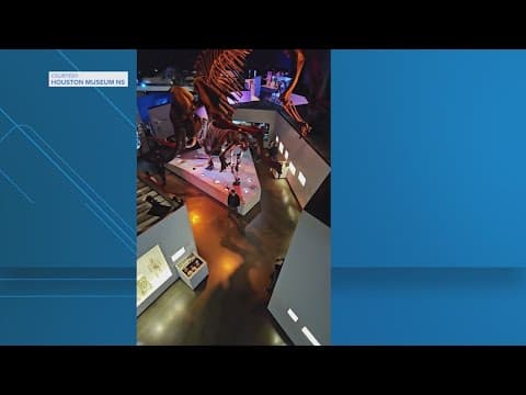 Houston Museum of Natural Science does viral TikTok trend