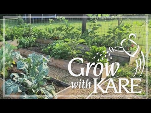 Grow with KARE: Tips for raised garden beds