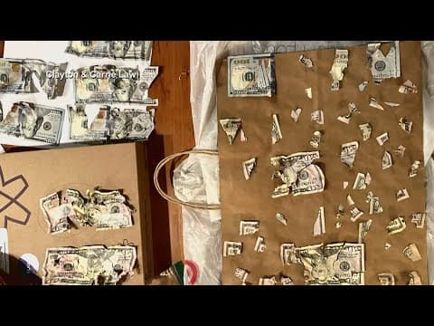 Dog eats $4,000 in cash | Have you heard?