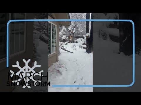 Heavy snow snaps tree branches in Denver metro area