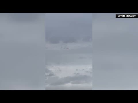 United flight may have struck rabbit, leading to engine fire