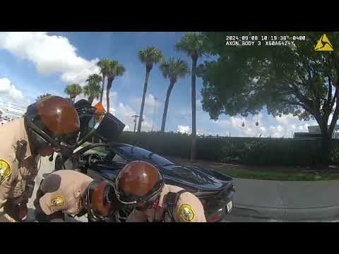 Bodycam video shows officers dragged Tyreek Hill out of his car after he put his window back up