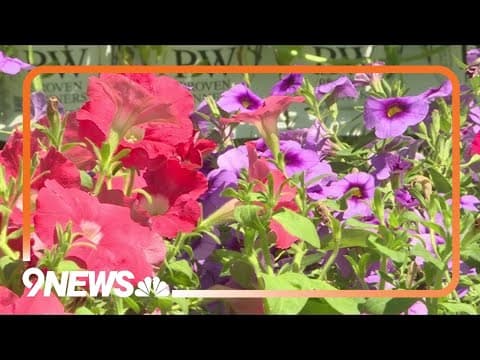 Summer gardening season gets underway in Colorado
