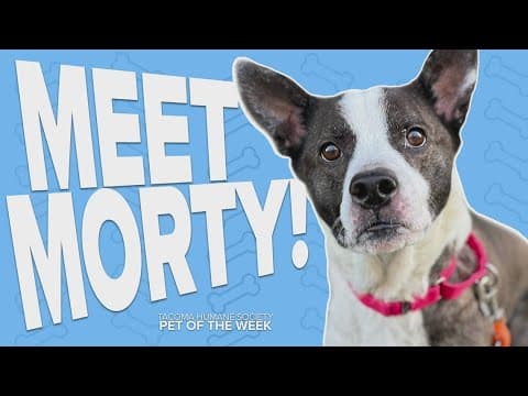 Pet Rescue of the Week: Morty