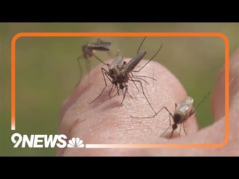 Colorado braces for another bad mosquito season