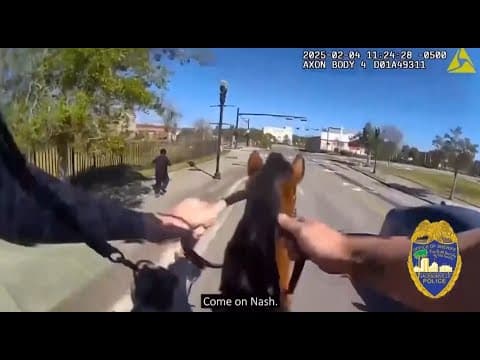 Florida sheriffs on horseback chase a man they say was a drug suspect