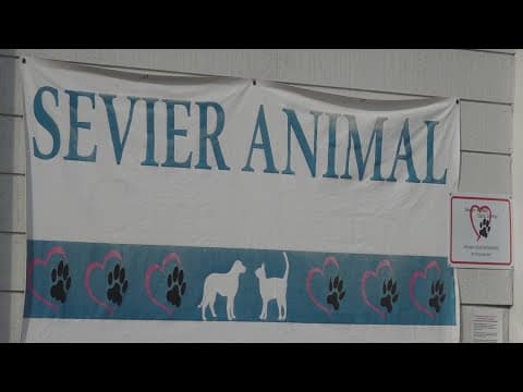 Sevier Animal Care Center finds new home after 6 years in cramped garage