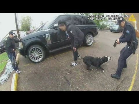 Officer shoots dog while investigating report of possible burglary