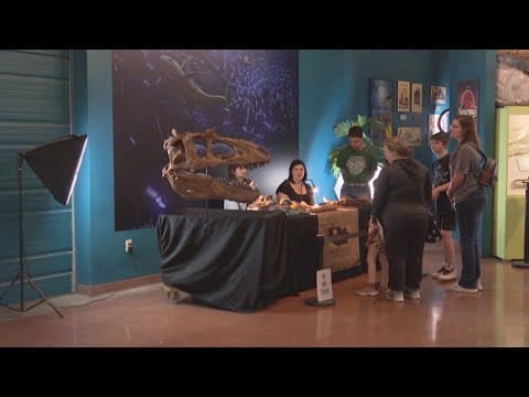 Scientists unveil new 3D model of skull of dinosaur that was 10 million years older than T-Rex