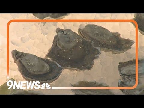 New restaurants open at Denver International Airport