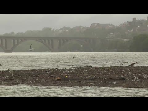 Why is there a huge pile of trash floating in the Potomac?