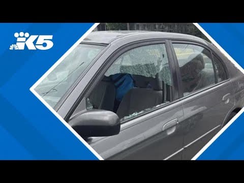 Tacoma chef's grill stolen in car break-in