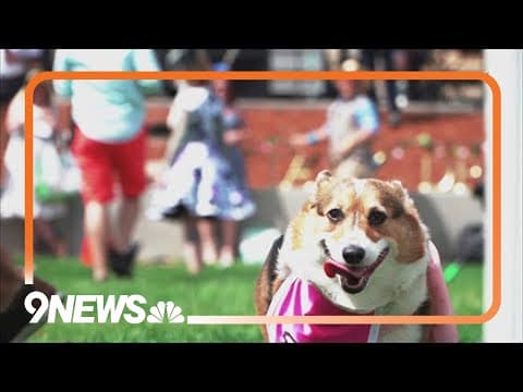 Denver Mini Derby happening this weekend