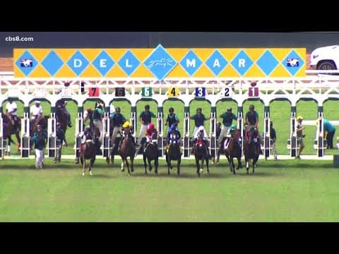 Four-year-old horse injured during race, euthanized at Del Mar Race Track