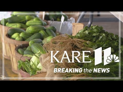 Despite recent rainfall farmers are still struggling with the drought this year