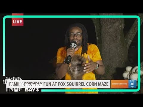 10 Tampa Bay checks out the Fox Squirrel Corn Maze
