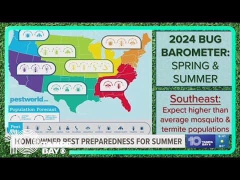 Spike in summer pests expected. What you can do