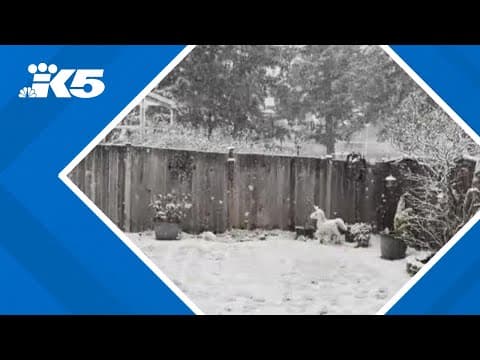 Snow, ice remains possible overnight into Tuesday morning