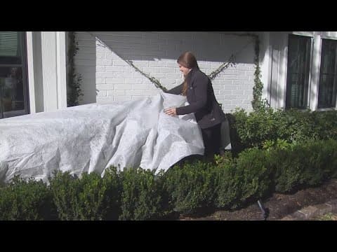 Protecting your plants during winter weather