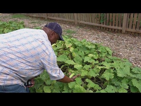 Knoxville pastor flips vacant church lots into urban garden to feed the hungry