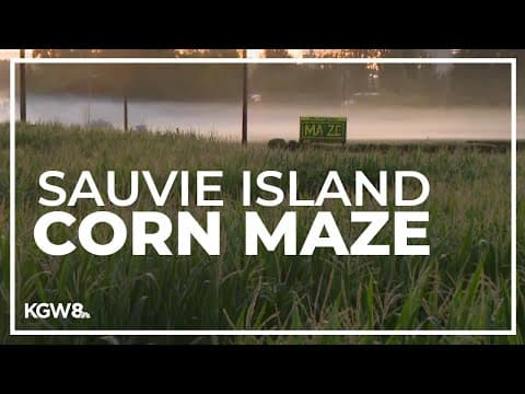 25th Anniversary of The Maize at the Pumpkin Patch on Sauvie Island