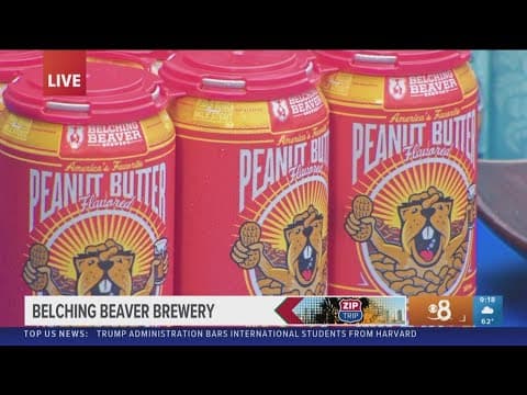 Belching Beaver Brewery | A delicious night out in Vista