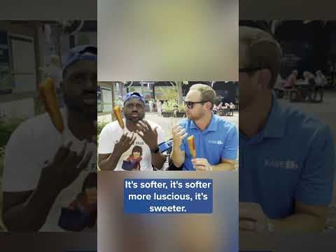 The Great Minnesota Get-Together's great debate: Are you #teamcorndog or #teamprontopup?