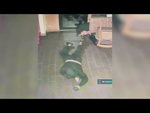 Business impacted by break-ins stunned when video shows latest group crawling on floor