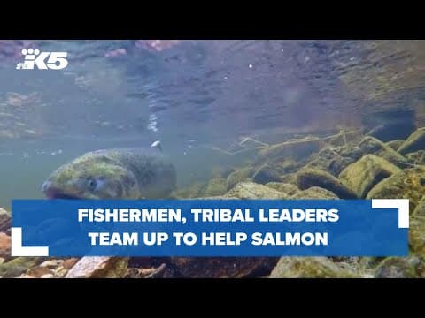 Coalition brings together longtime rivals to help salmon