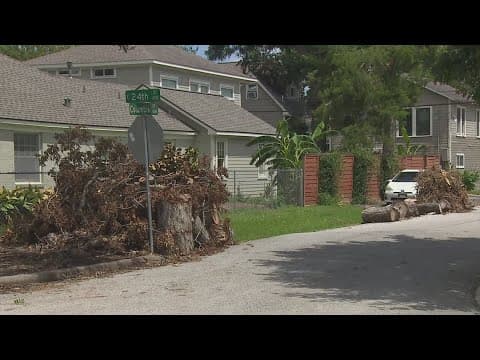 Beryl debris pickup has started in Houston but it could take several weeks to finish