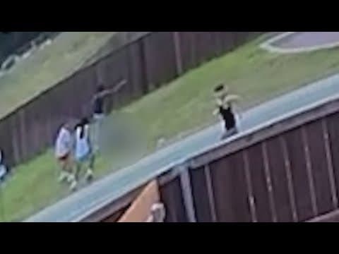 New video shows park brawl that resulted in the shooting death of a teen in Ferris