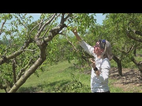 USDA funding pause puts East Tennessee farm at risk