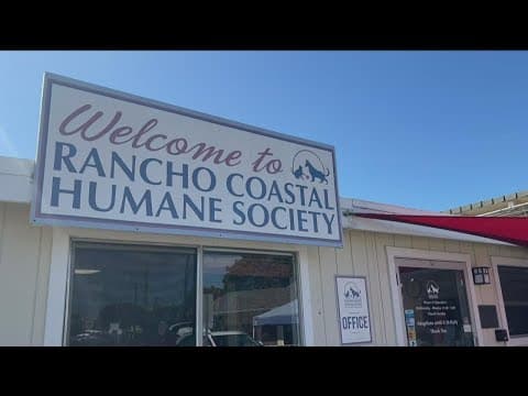 Animal Safehouse provides safe haven for pets in domestic violence situations