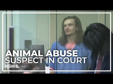 Police still searching for dog as Portland animal abuse suspect makes first court appearance