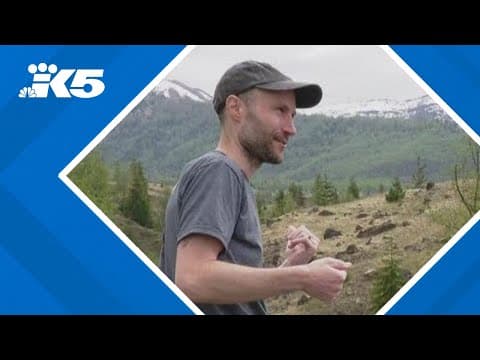 Mount St. Helens environment recovering 45 years after eruption