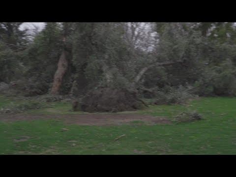 Northern California battered by winter storms